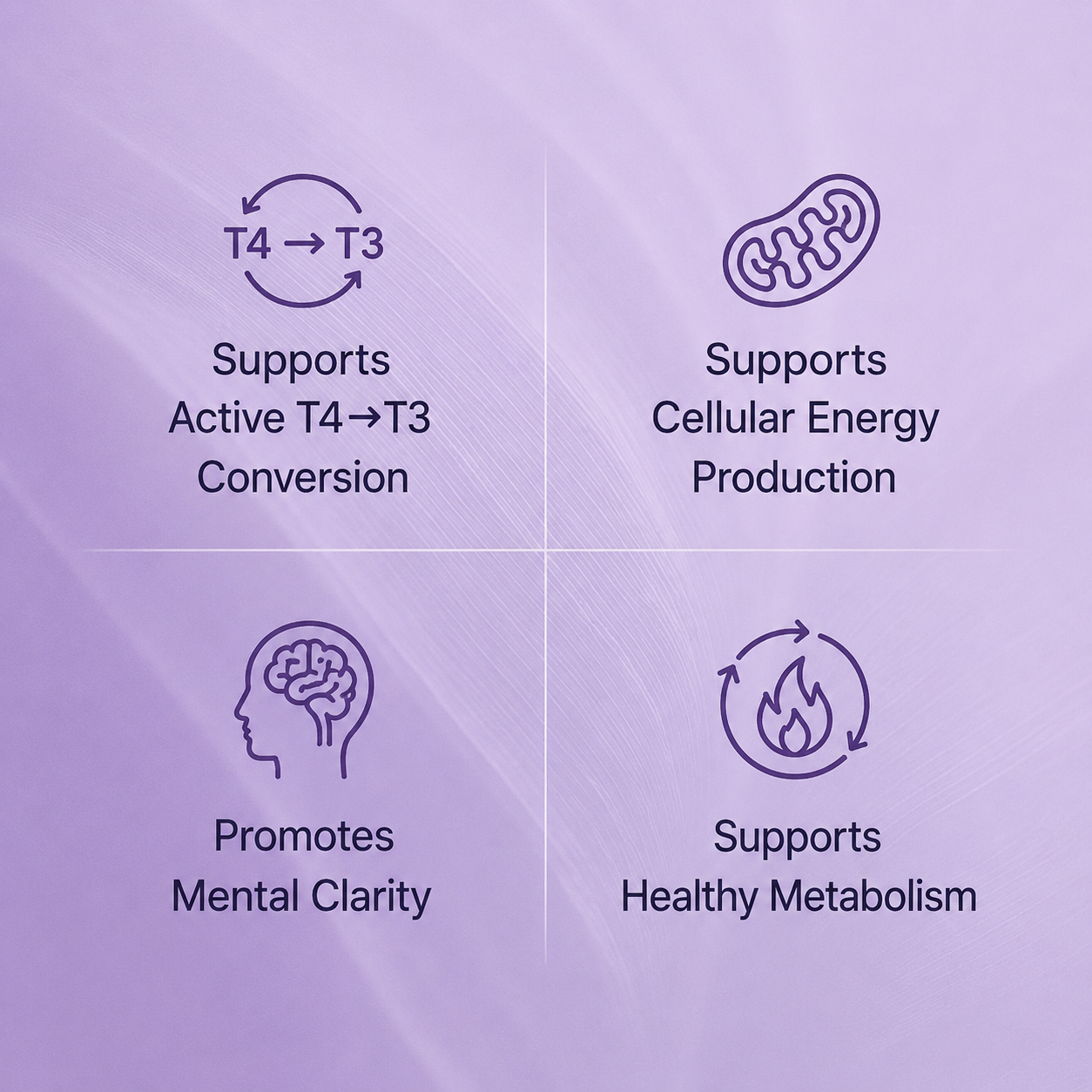 Thyroid Conversion Support Complex